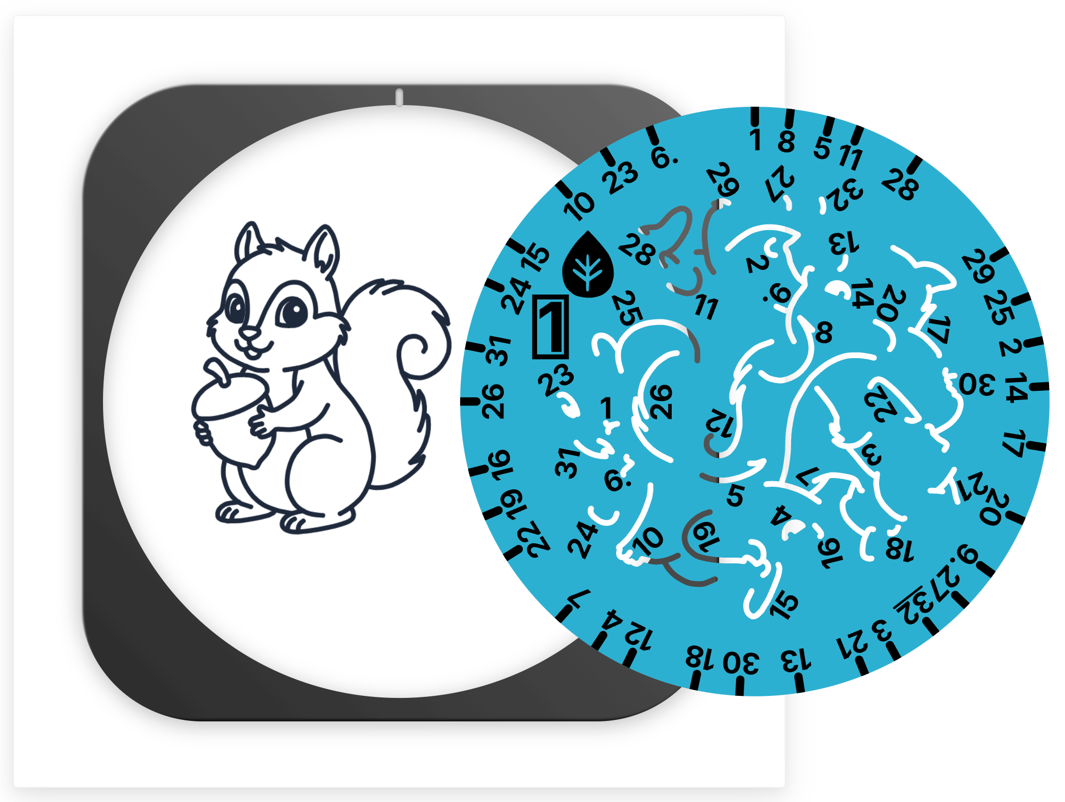 🦊 Woodland Creature Doodle Disc 10-Pack