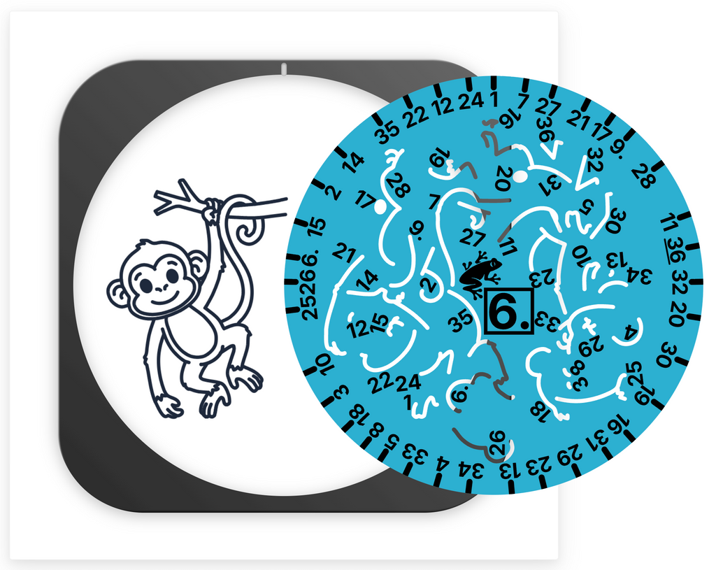 🦥 Rainforest Doodle Disc 10-Pack