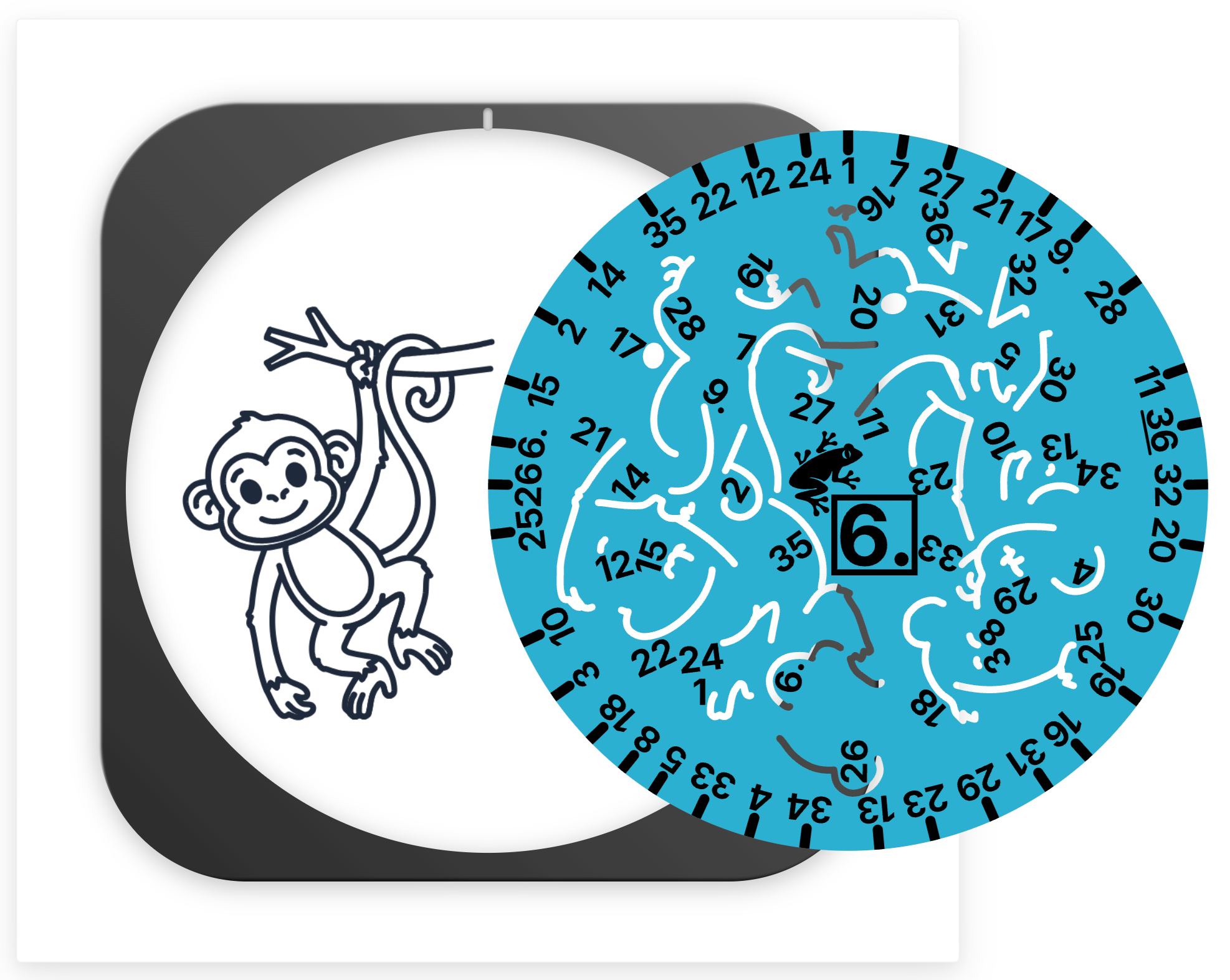 🦥 Rainforest Doodle Disc 10-Pack