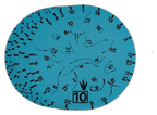 🦕 Dinosaur Doodle Disc 10-Pack