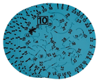🦥 Rainforest Doodle Disc 10-Pack